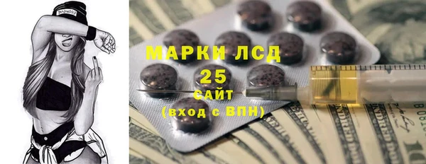 прущие грибы Надым
