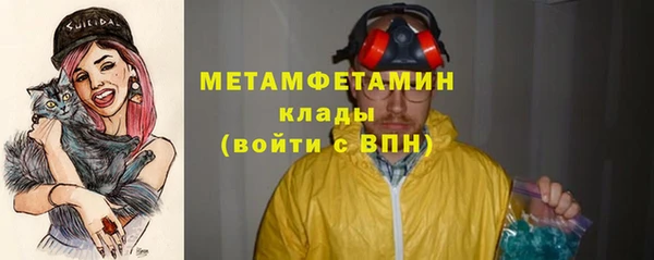 прущие грибы Надым