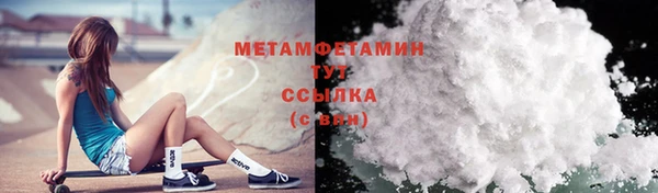 прущие грибы Надым