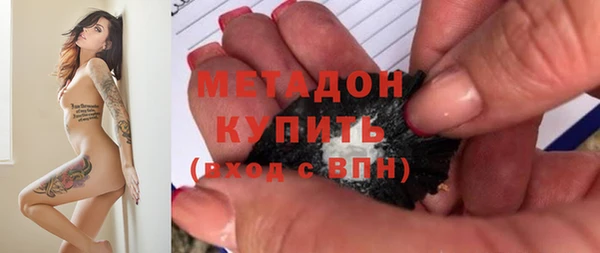 прущие грибы Надым